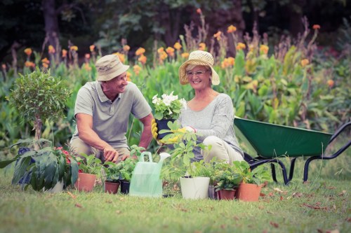 Professional lawn mowing service in Newham