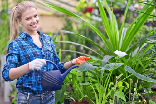 Professionals trimming hedges in a Newham garden