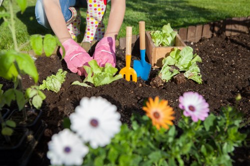 Designing a sustainable garden in Newham's climate