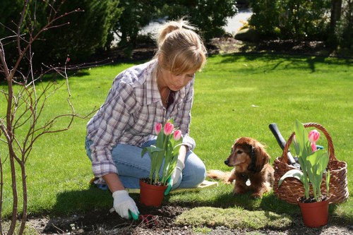 Safety measures during tree removal process
