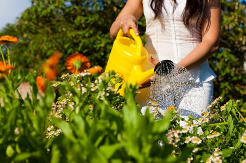 Newham climate and seasonal garden care